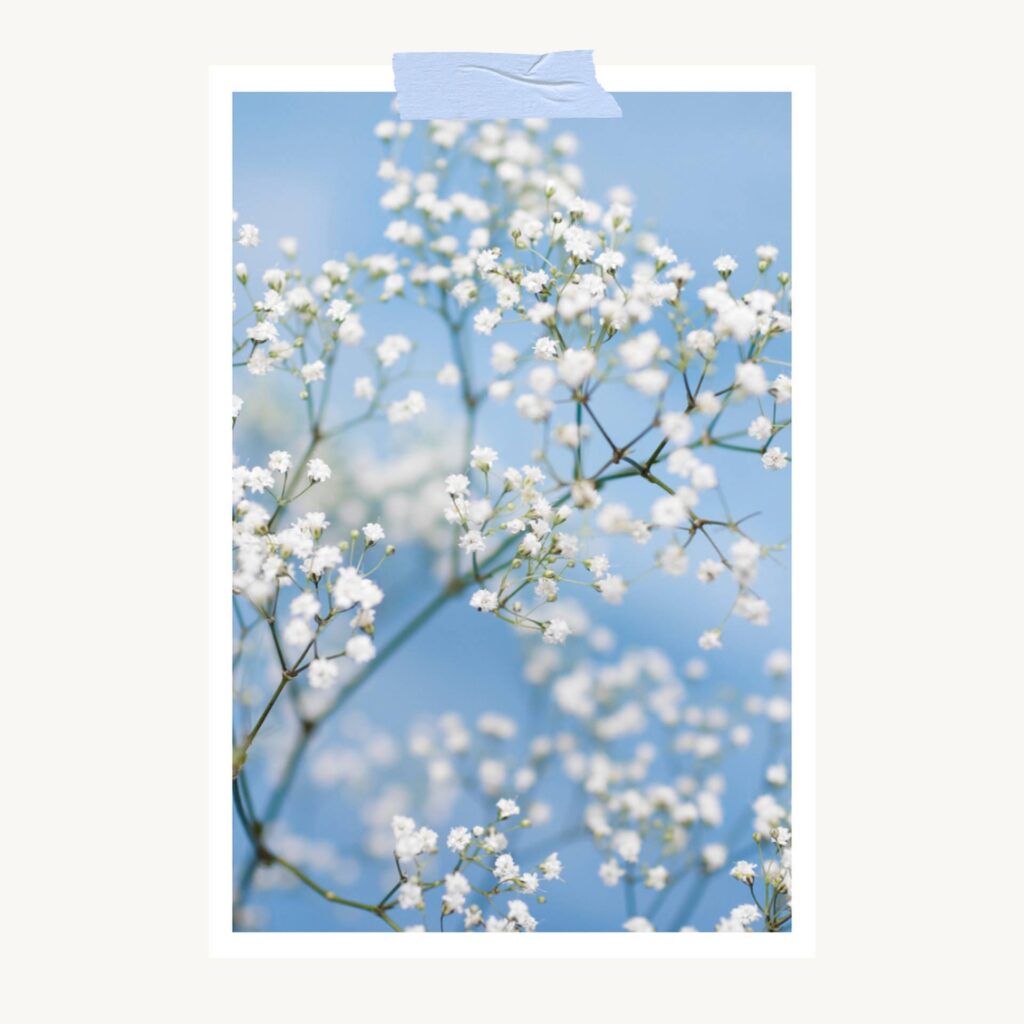 asia andrzejczyk strony internetowe dla fotografow011